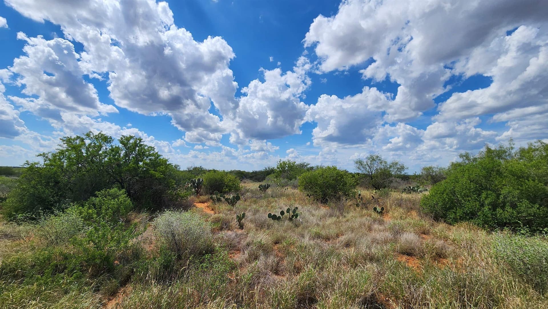 11.5 acres in Webb County - photo 12