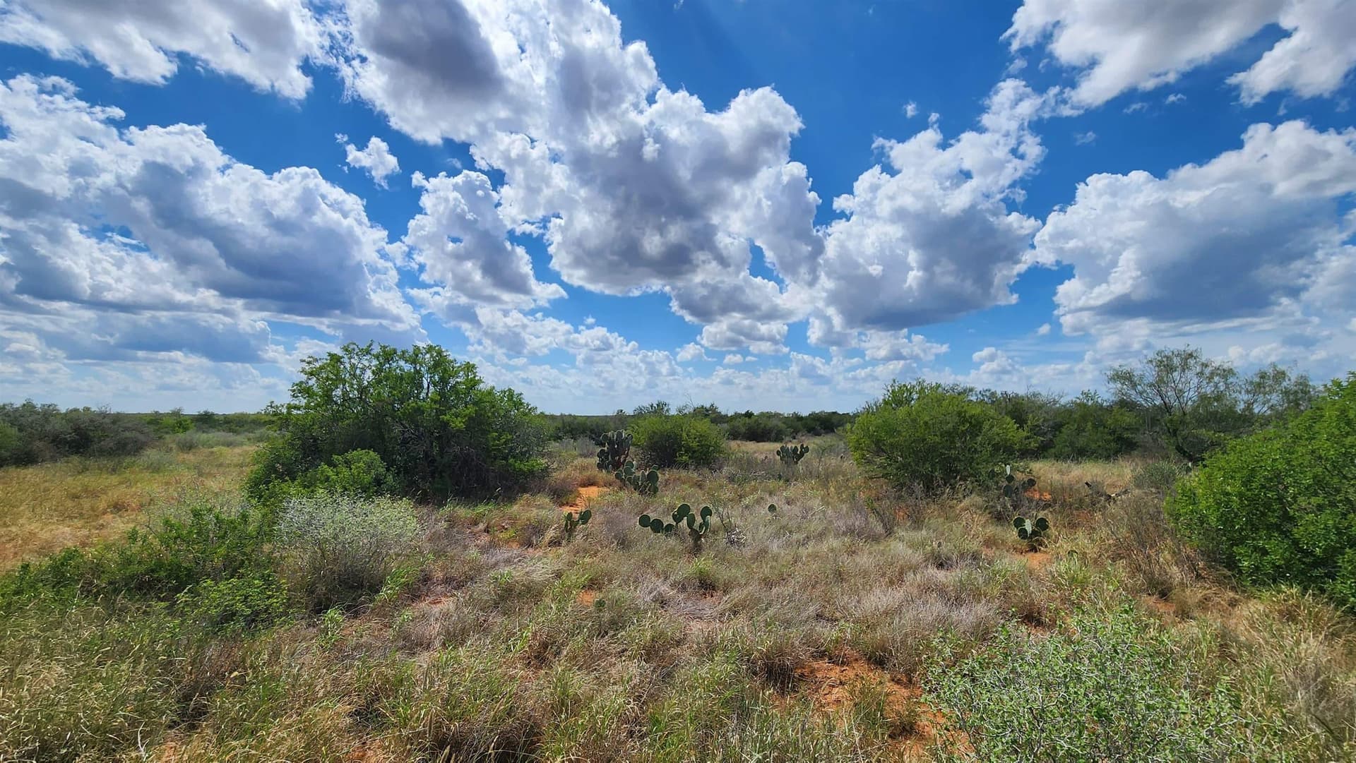 11.5 acres in Webb County - photo 11