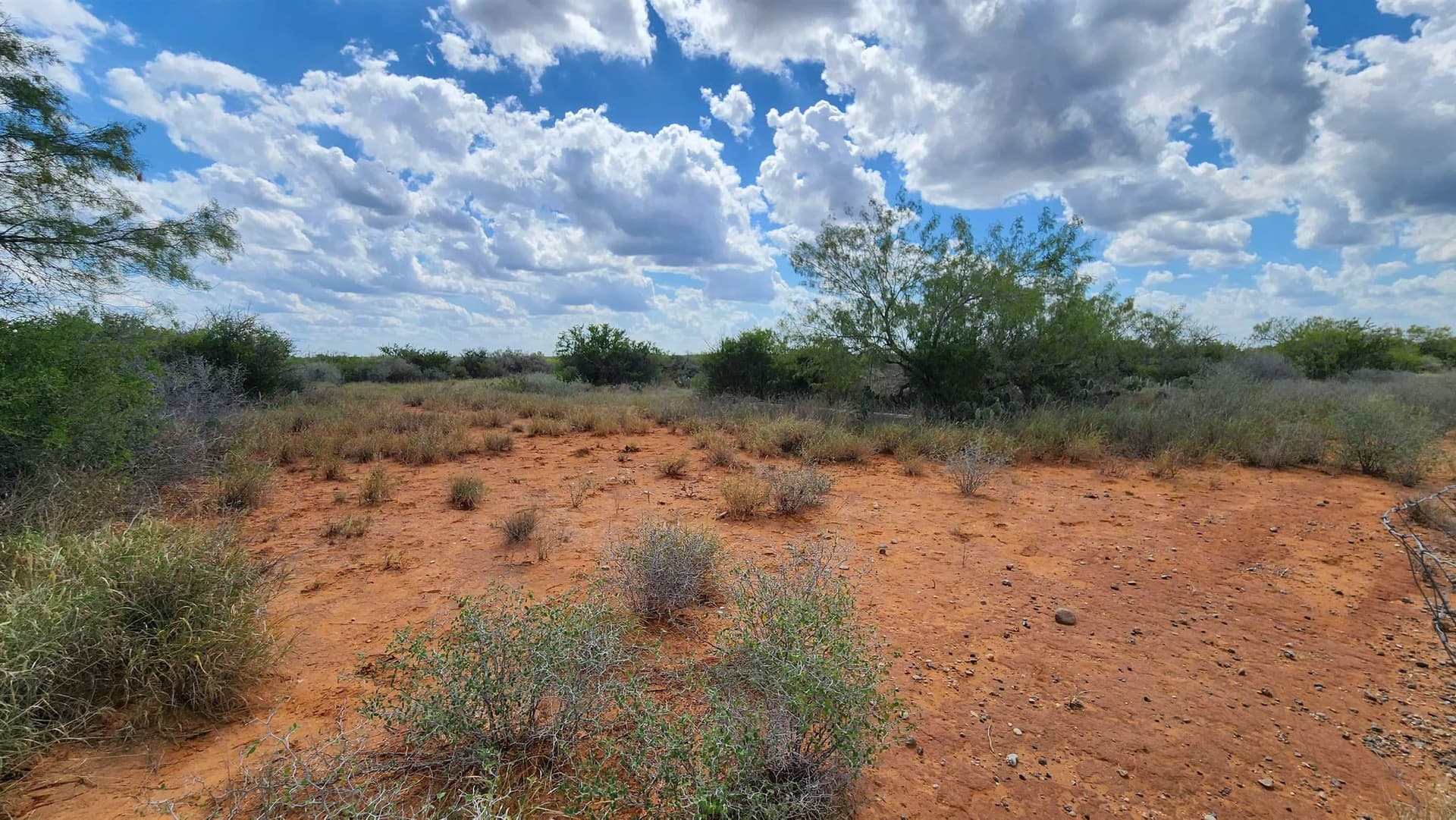 11.5 acres in Webb County - photo 6