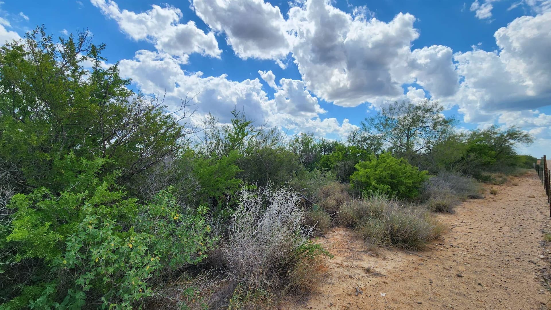 11.5 acres in Webb County - photo 4