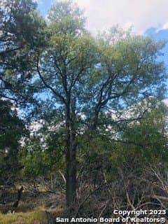 5 acres in Bandera County - photo 5