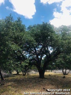 5 acres in Bandera County - photo 13