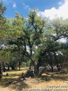 5 acres in Bandera County - photo 8