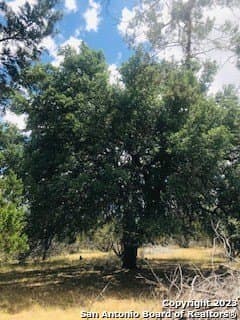 5 acres in Bandera County - photo 17