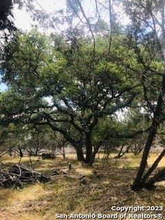 5 acres in Bandera County - photo 15
