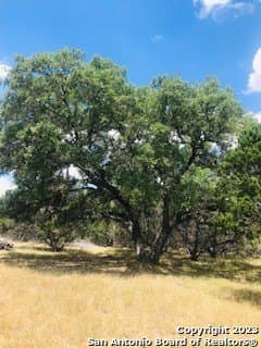 5 acres in Bandera County - photo 21