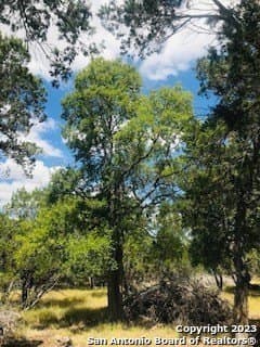 5 acres in Bandera County - photo 7