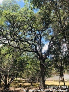 5 acres in Bandera County - photo 16