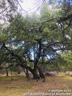 5 acres in Bandera County - photo 9