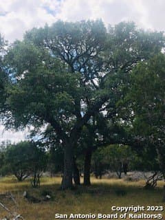 5 acres in Bandera County - photo 19