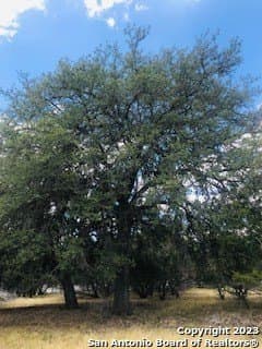 5 acres in Bandera County - photo 18