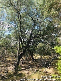 5 acres in Bandera County - photo 6