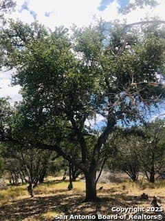 5 acres in Bandera County - photo 12
