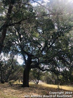 5 acres in Bandera County - photo 4
