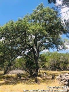 5 acres in Bandera County - photo 11