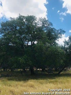 5 acres in Bandera County - photo 20