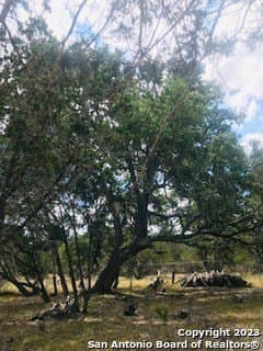 5 acres in Bandera County - photo 14