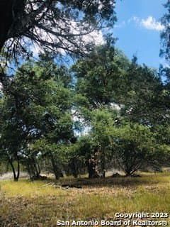5 acres in Bandera County - photo 3