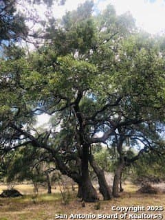 5 acres in Bandera County - photo 10