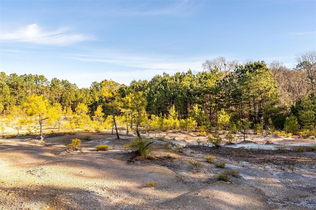51.04 acres in Harrison County - photo 24