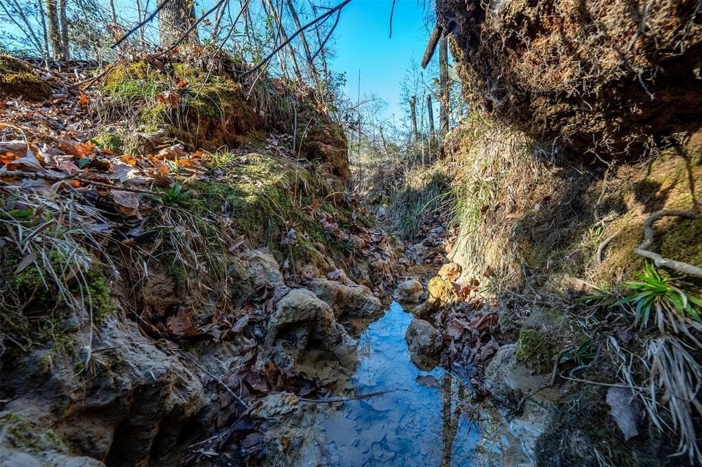 51.04 acres in Harrison County - photo 40