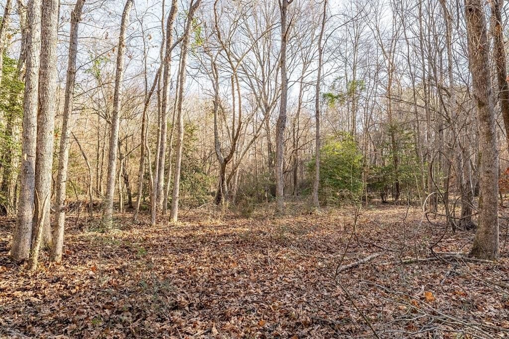51.04 acres in Harrison County - photo 29