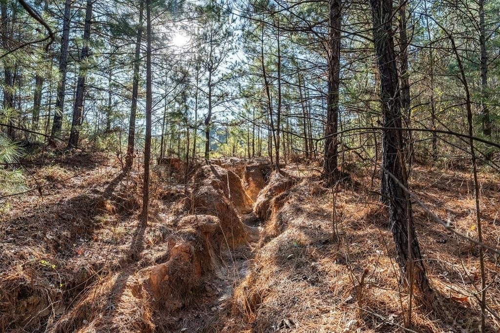 51.04 acres in Harrison County - photo 33