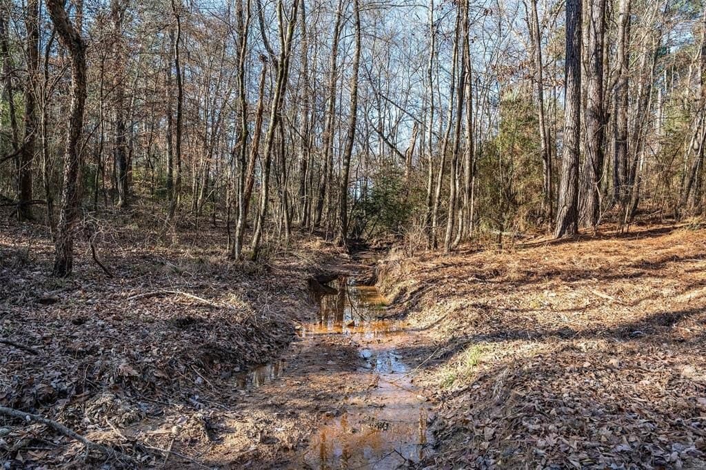 51.04 acres in Harrison County - photo 34