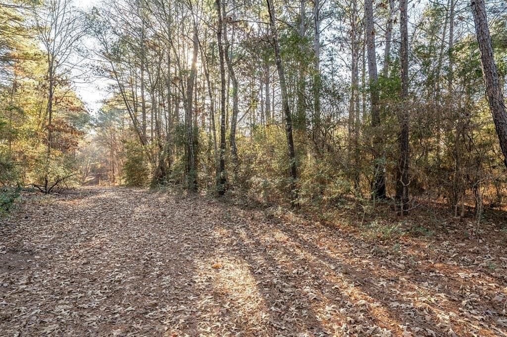 51.04 acres in Harrison County - photo 13