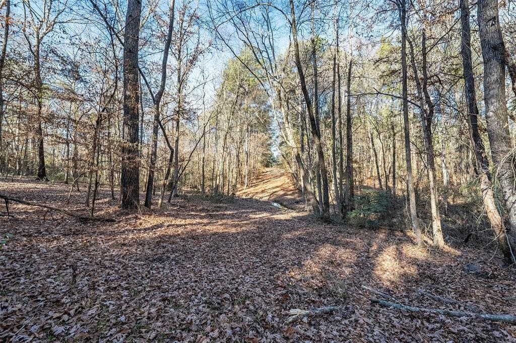 51.04 acres in Harrison County - photo 38