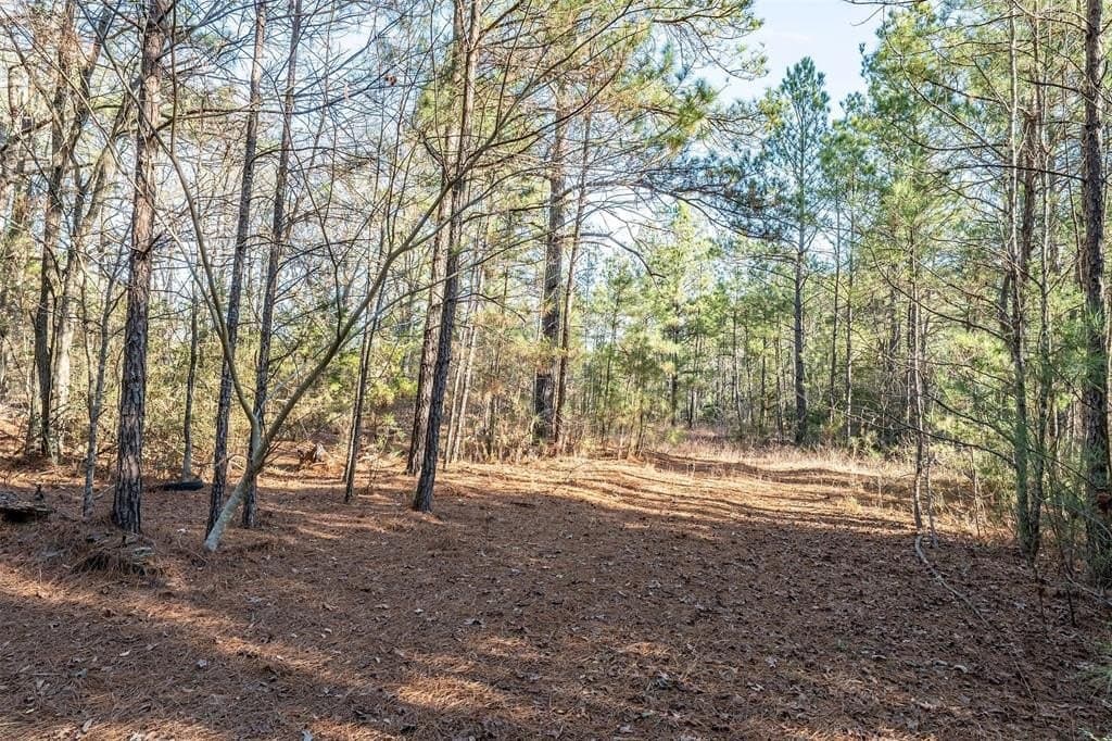 51.04 acres in Harrison County - photo 15