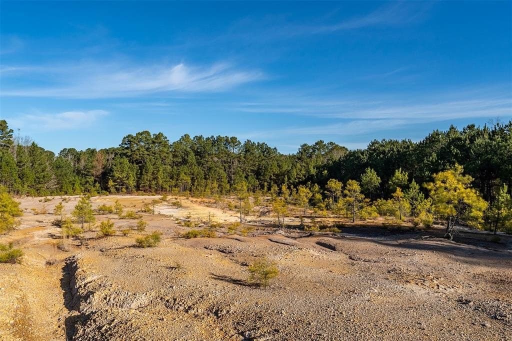 51.04 acres in Harrison County - photo 23