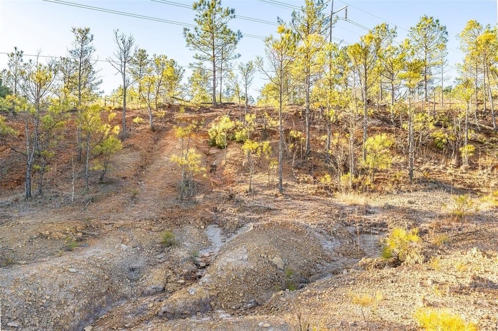 51.04 acres in Harrison County - photo 25