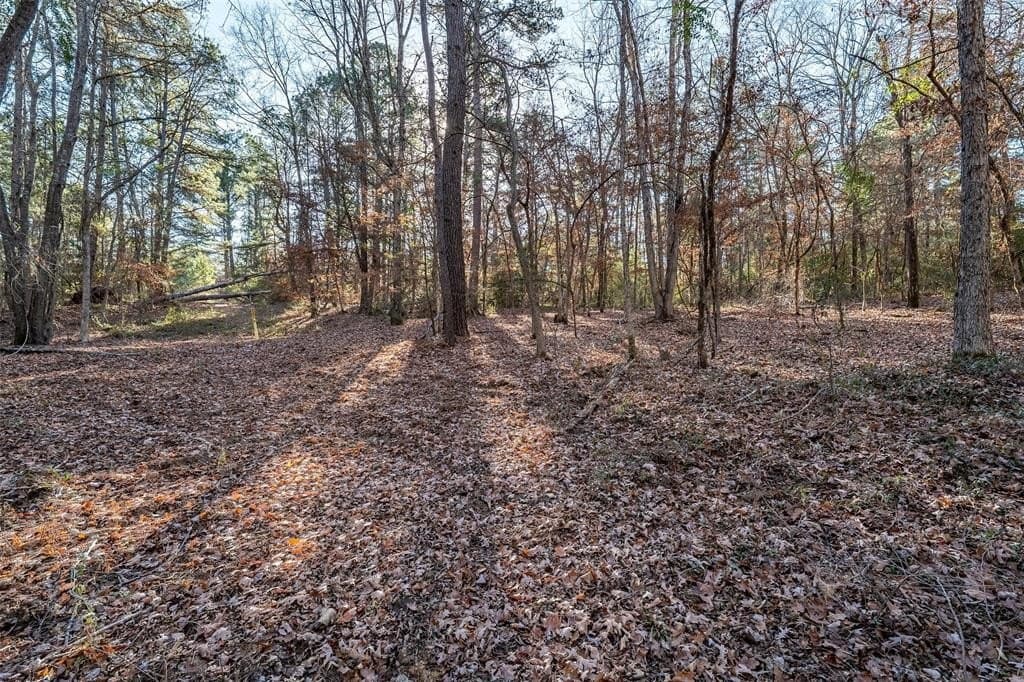 51.04 acres in Harrison County - photo 36