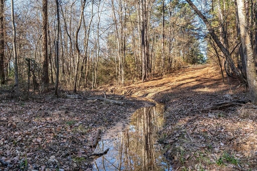 51.04 acres in Harrison County - photo 35
