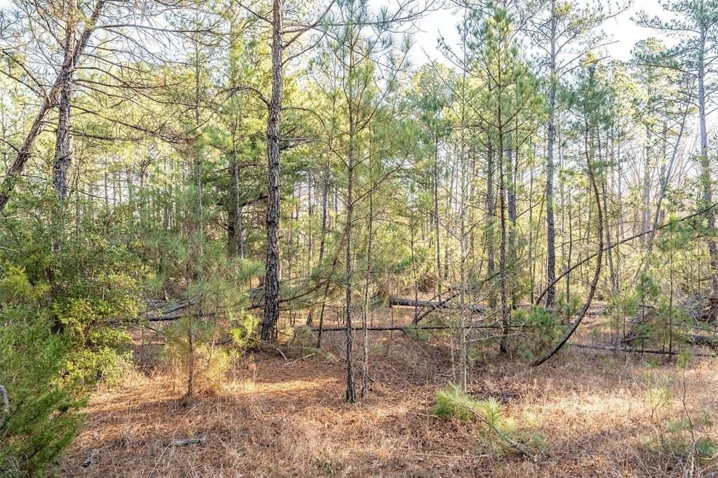 51.04 acres in Harrison County - photo 18