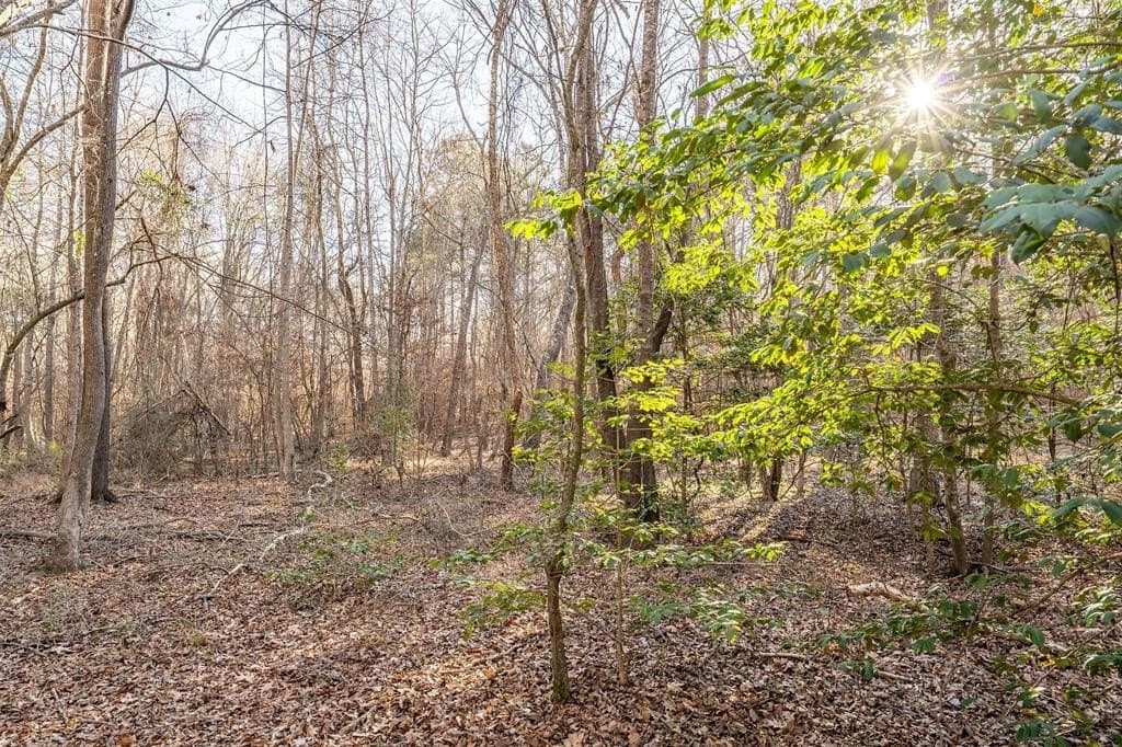 51.04 acres in Harrison County - photo 32
