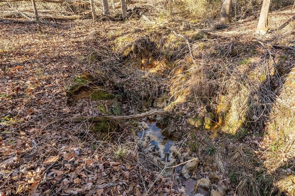 51.04 acres in Harrison County - photo 39