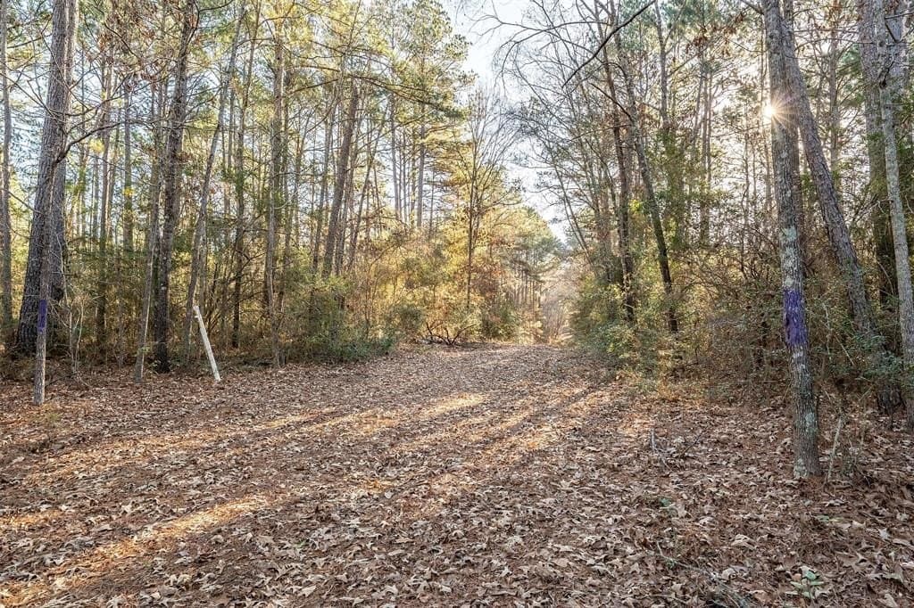 51.04 acres in Harrison County - photo 12