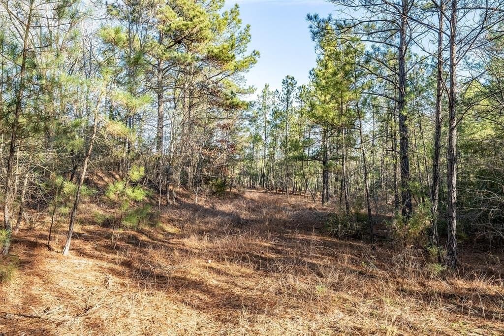 51.04 acres in Harrison County - photo 16