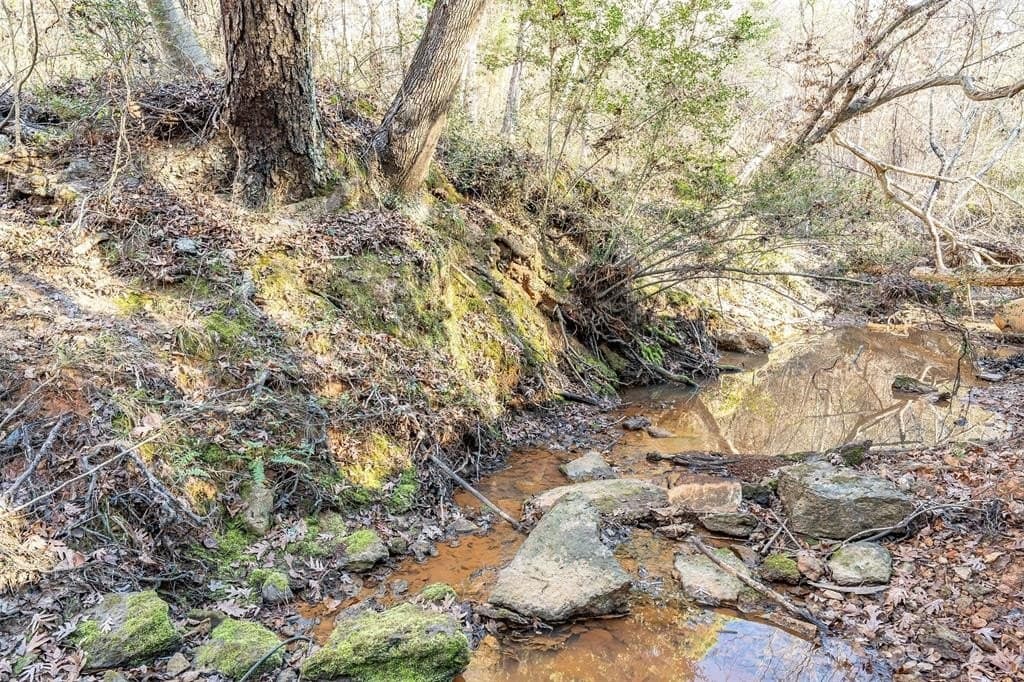 51.04 acres in Harrison County - photo 28