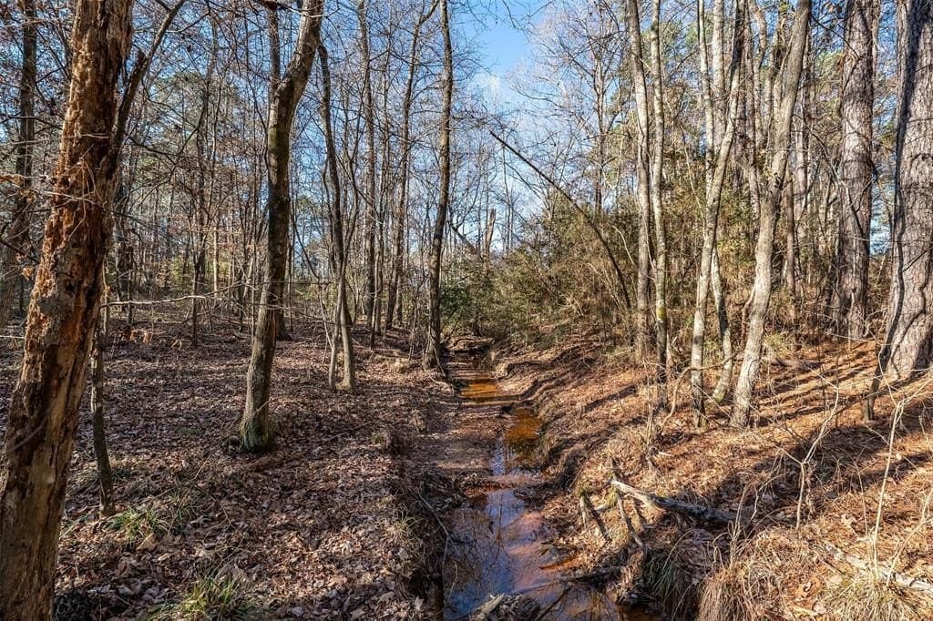 51.04 acres in Harrison County - photo 37