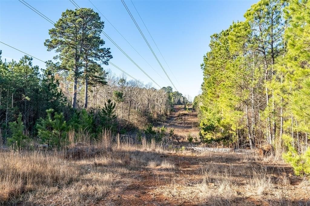 51.04 acres in Harrison County - photo 21