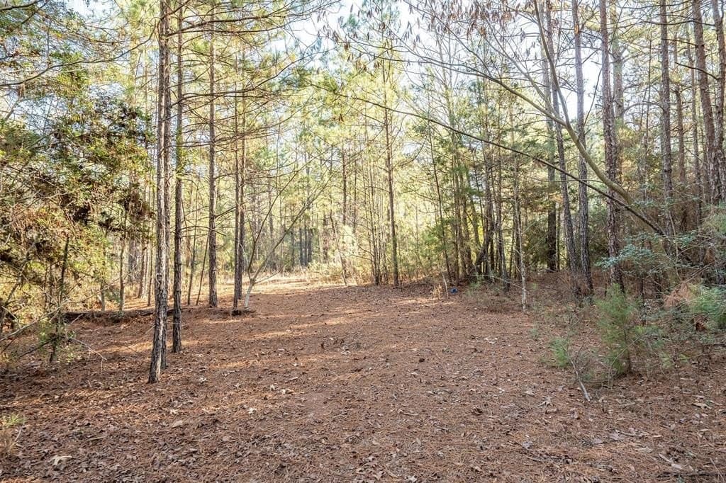 51.04 acres in Harrison County - photo 14