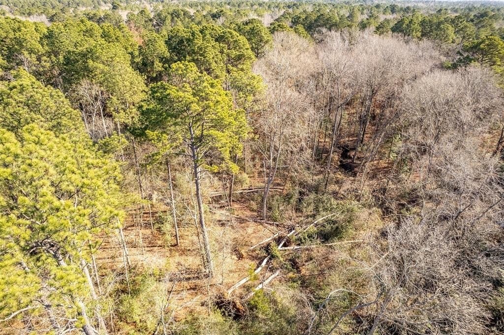51.04 acres in Harrison County - photo 10