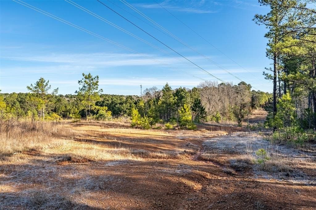 51.04 acres in Harrison County - photo 19