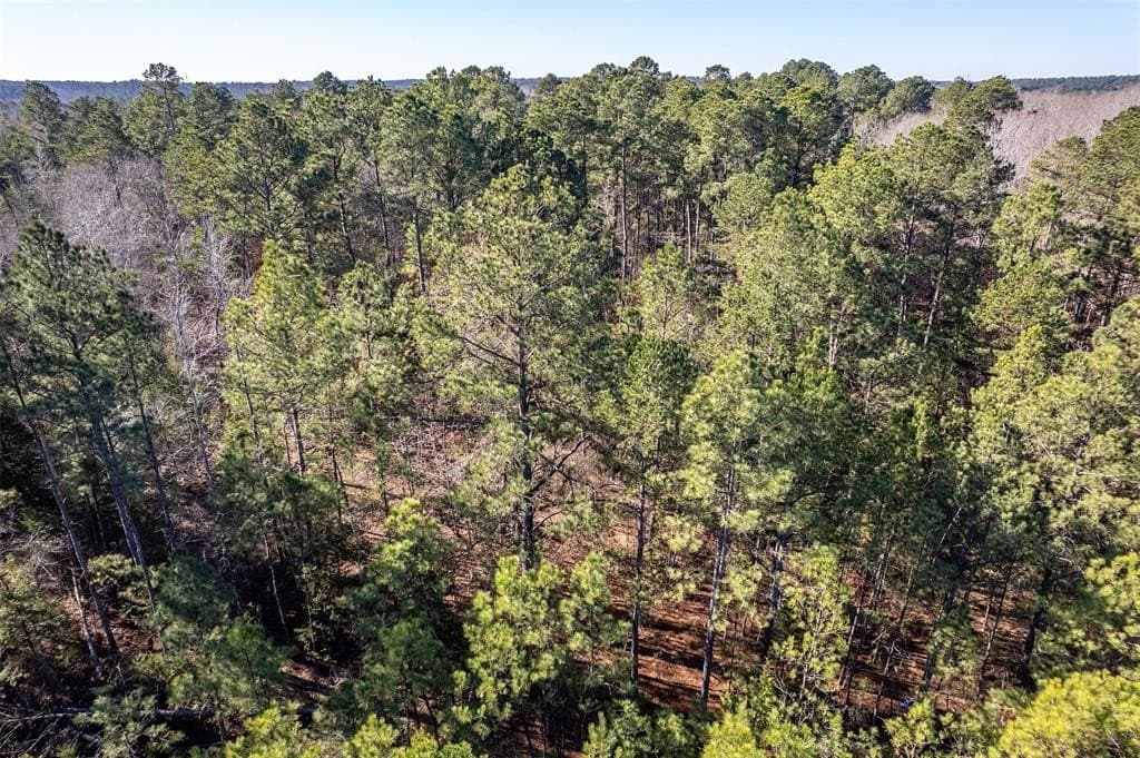 51.04 acres in Harrison County - photo 9