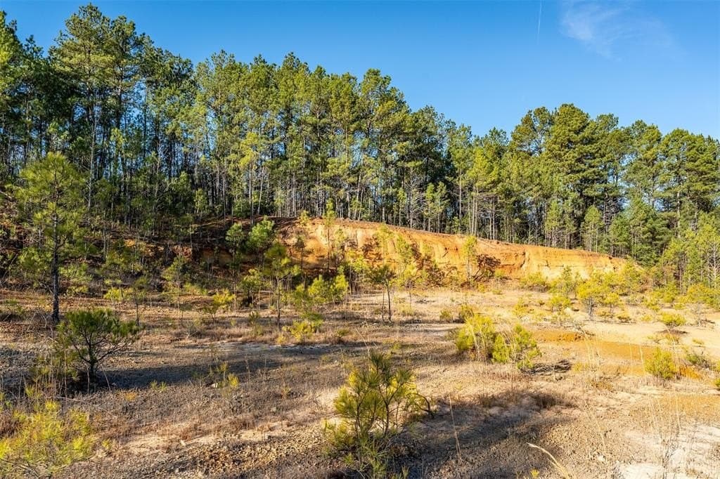 51.04 acres in Harrison County - photo 22