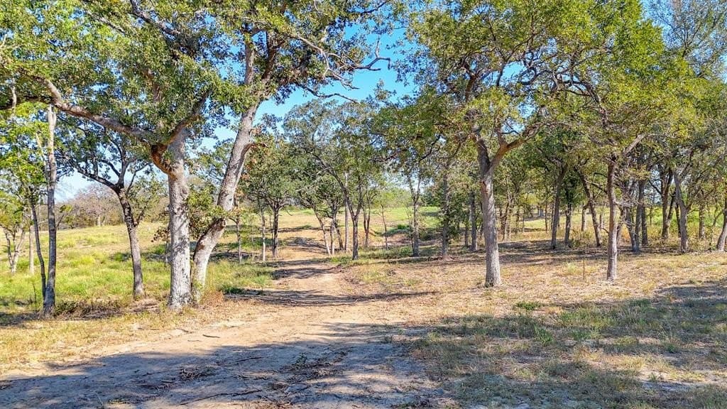 1.01 acres in Navarro County - photo 11