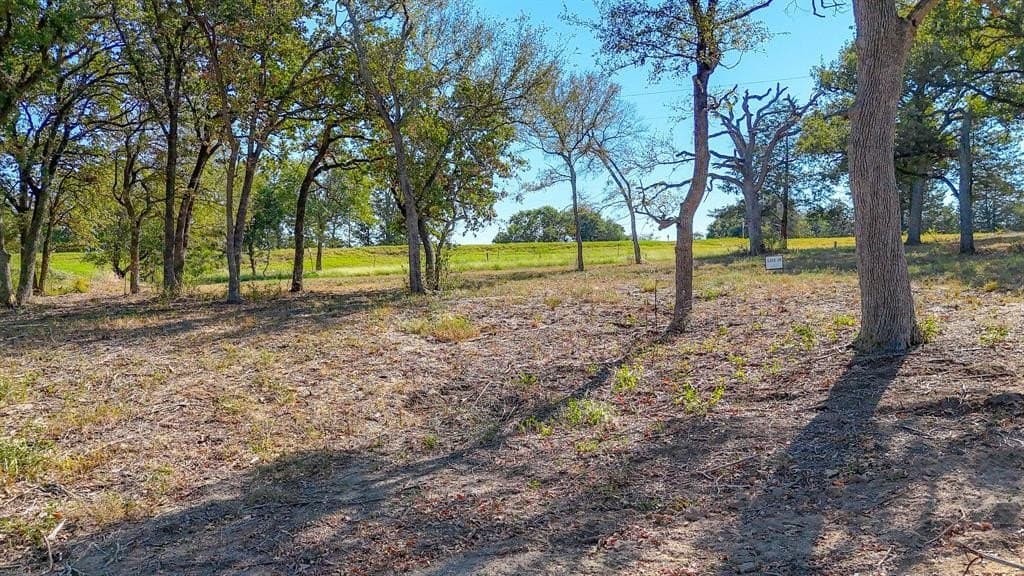 1.01 acres in Navarro County - photo 15